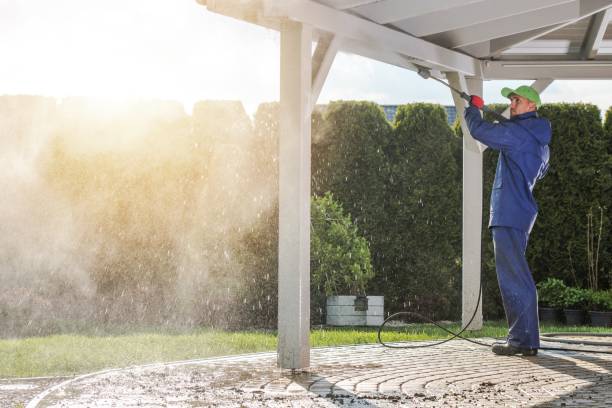 Best Solar Panel Cleaning  in River Falls, WI